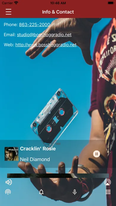 Tangkapan layar Boss Hogg Radio