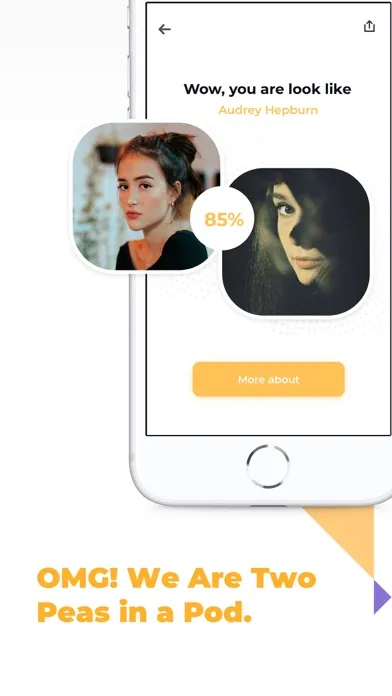 Celebrity Look Alike: Face Art應用截圖