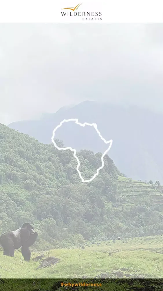 Why Wilderness应用截图