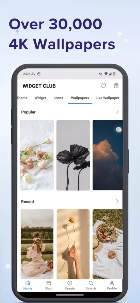 Icon changer & Widget Themes Screenshots
