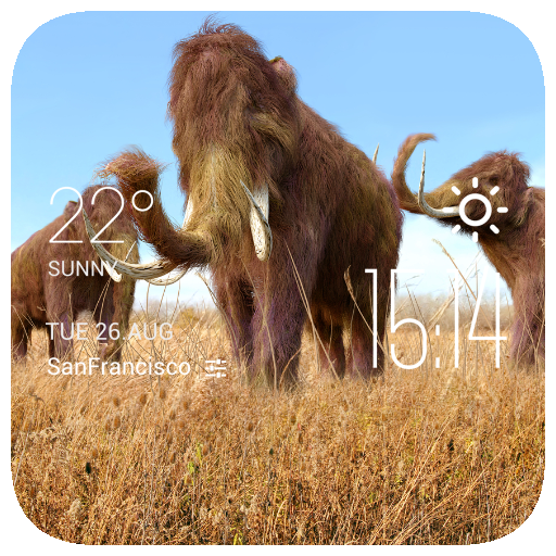 The mammoth weather widget