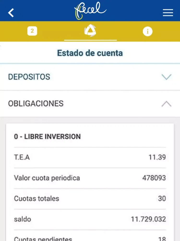 fecel iPad 应用截图