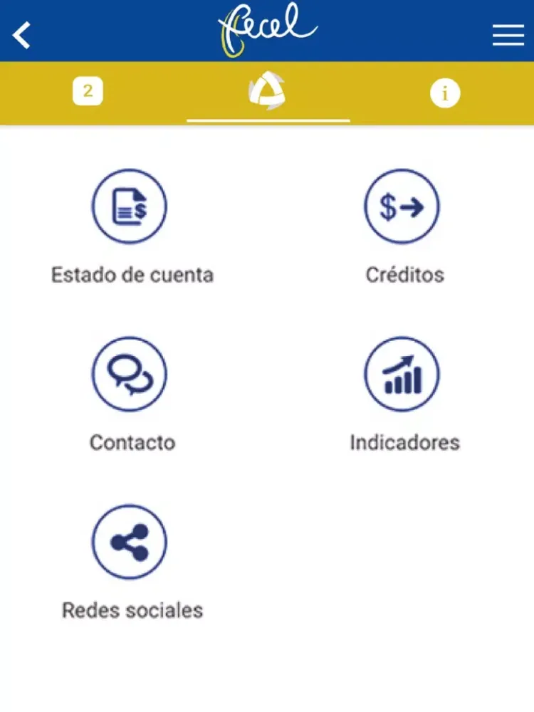 fecel iPad 应用截图