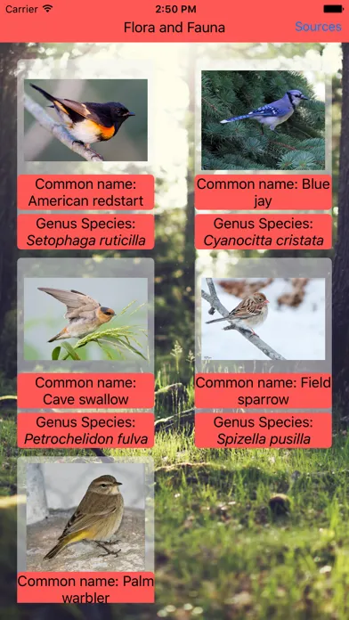 Ảnh chụp màn hình của Flora and Fauna