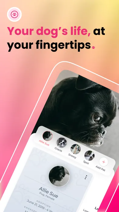 Capturas de pantalla de Wiggles—Be the Best Dog Parent