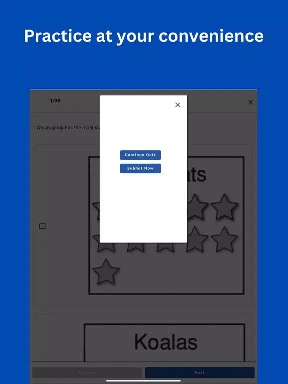 Naplan Practice Test iPad  Ekran Görüntüleri