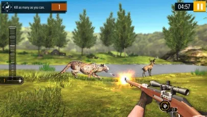 Скриншоты Wild Animal Hunting 2019