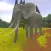 Wild Animal Hunting Sniper