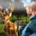 Wild Deer Hunt 2017 wilderness Sniper