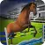 Wild Horse Racing Champions