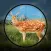 Wild Hunt : Gun Shooting Games