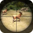 Sniper Hunter Champion Sniper Hunter Champion