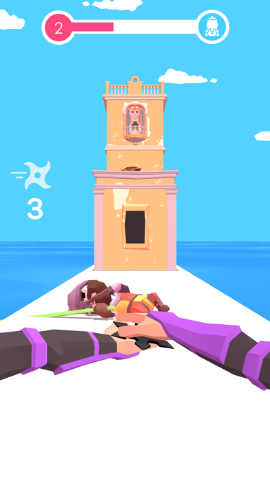 Tangkapan skrin Ninja Saves The Princess
