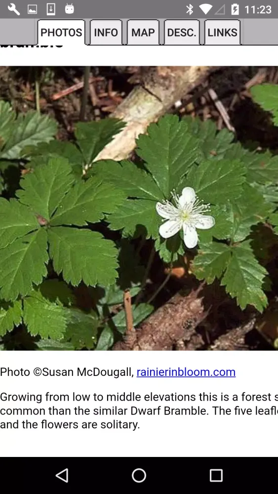 Capturas de pantalla de Washington Wildflower Search