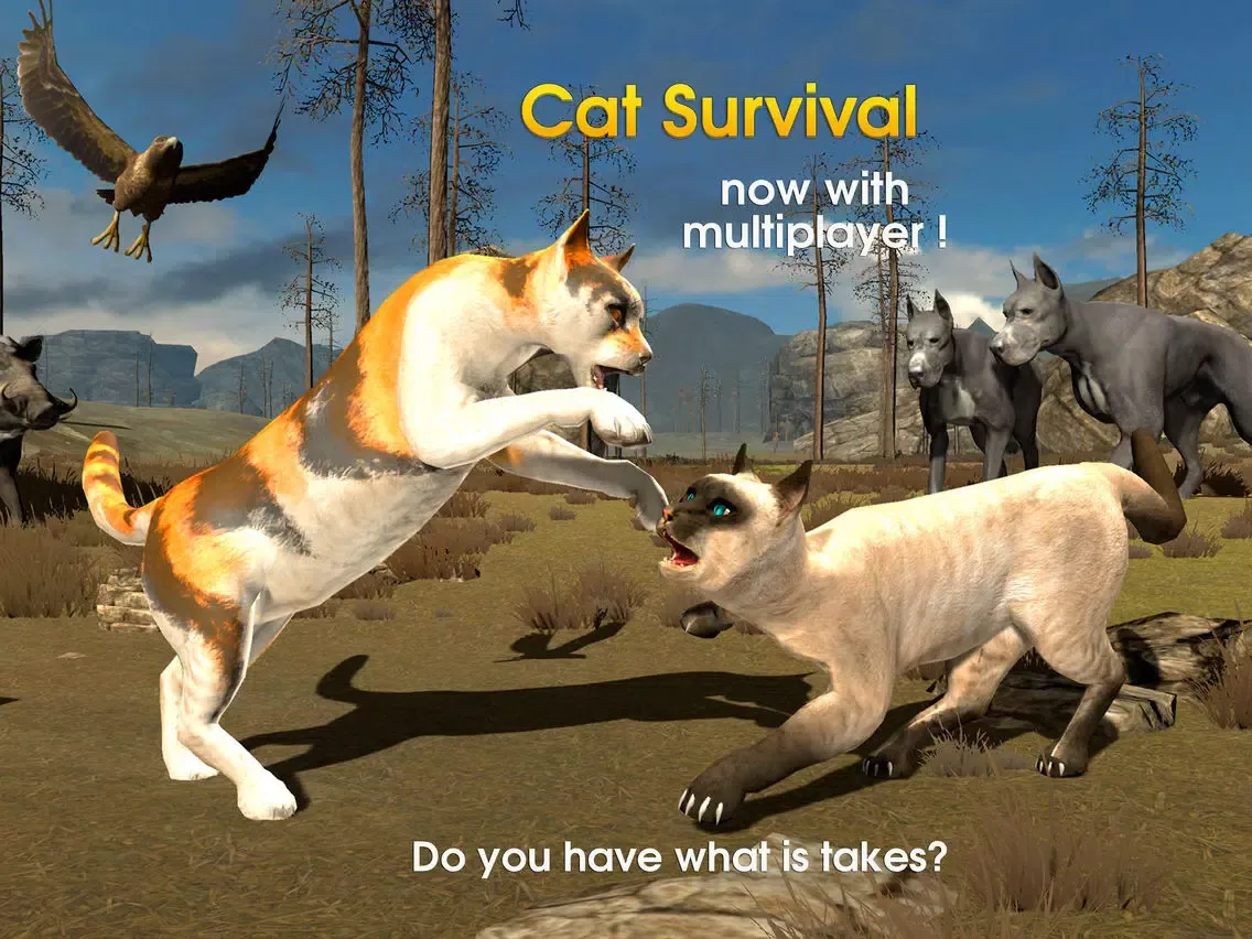 Cat Survival Simulator iPad  Ekran Görüntüleri