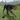 Dog Survival Simulator