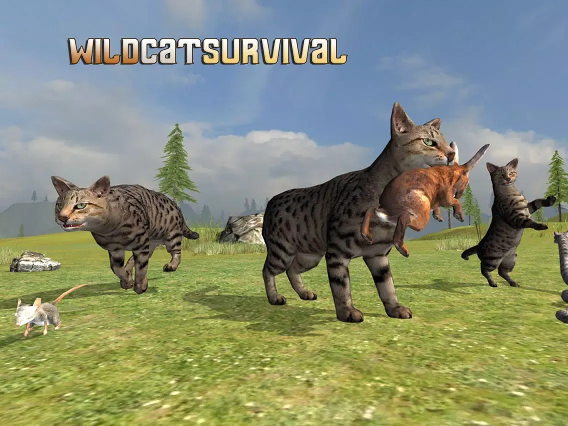 Wild Cat Survival iPad  স্ক্রিনশট