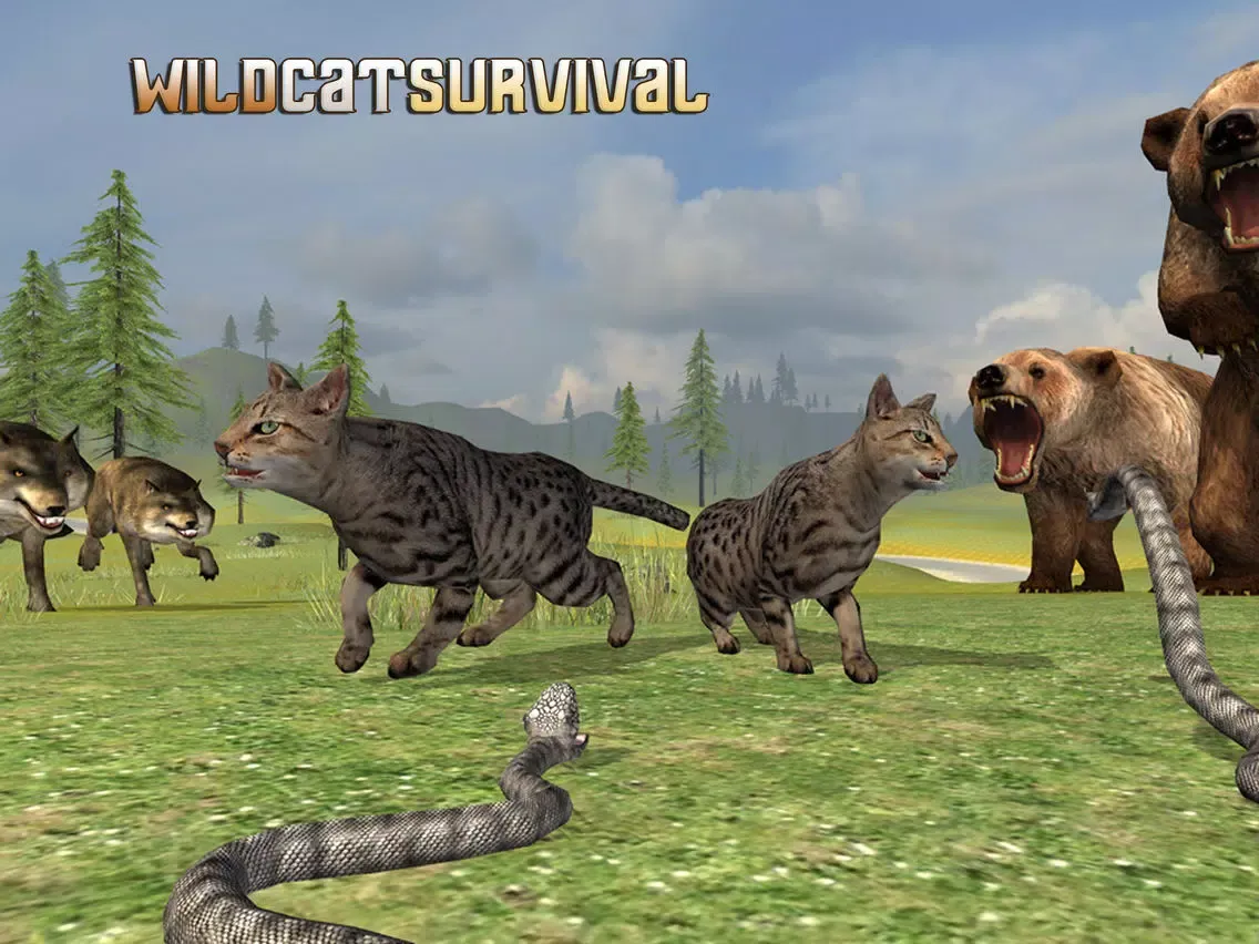 Wild Cat Survival iPad  স্ক্রিনশট