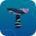 Whale Tales 2022
