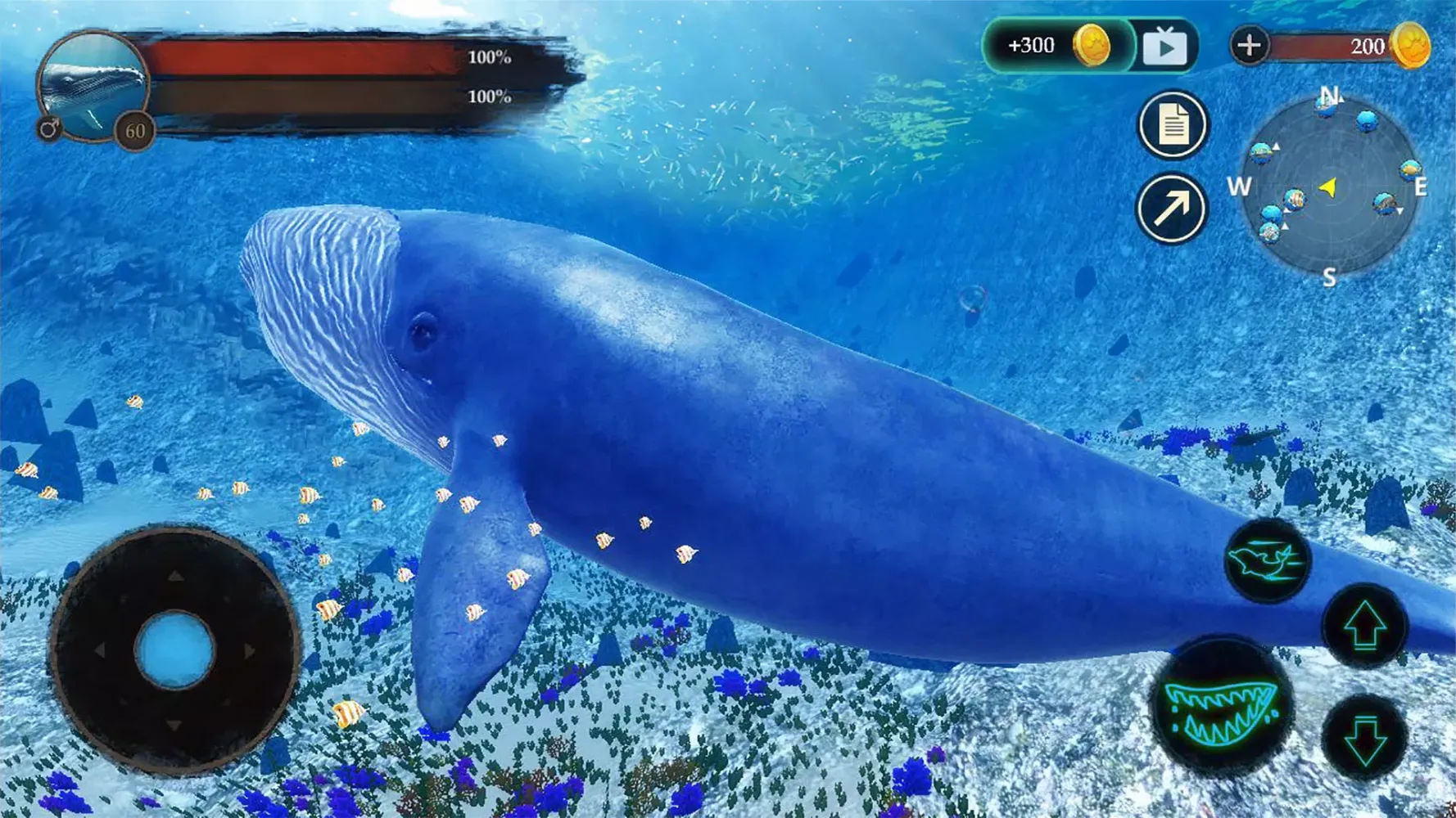The Blue Whale स्क्रीनशॉट