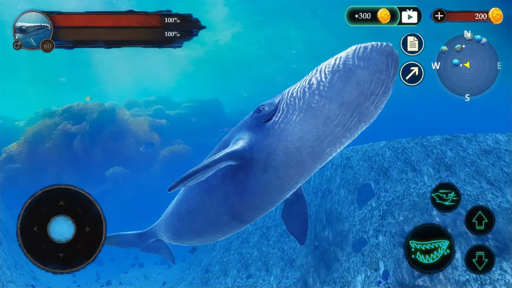 The Blue Whale स्क्रीनशॉट