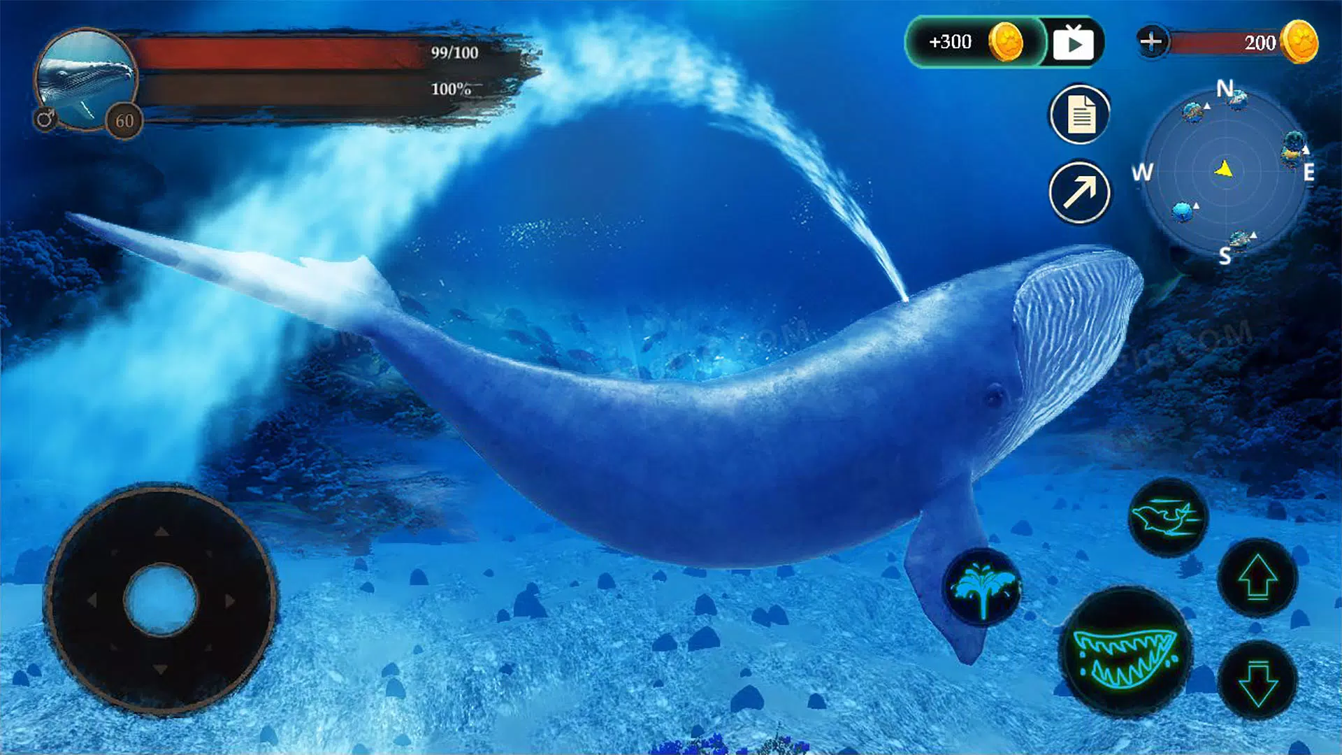 The Blue Whale APK for Android Download PGYER APKHUB The Blue Whale APK for Android Download PGYER APKHUB