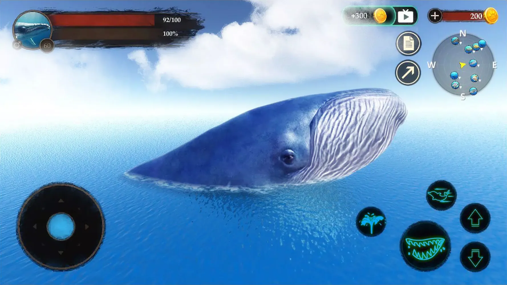 The Blue Whale स्क्रीनशॉट