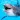 The Dolphin
