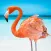 The Flamingo