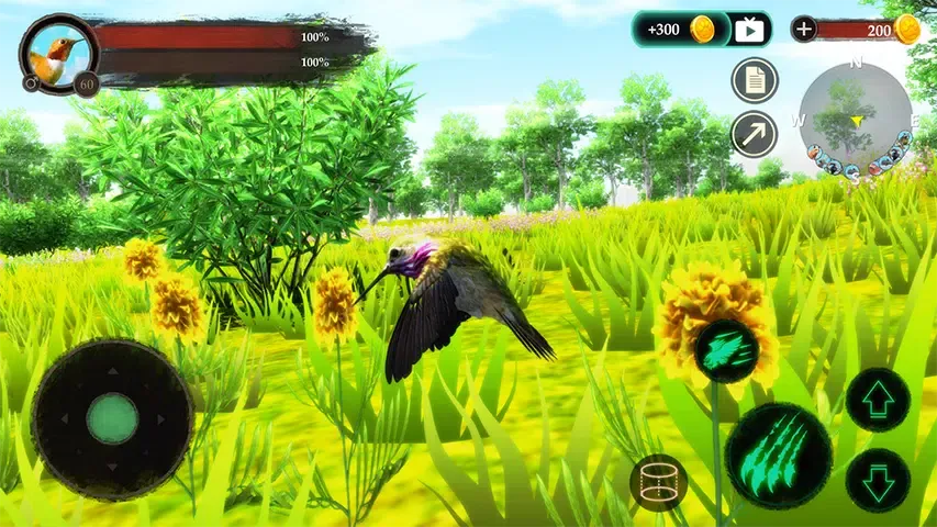 The Hummingbird应用截图
