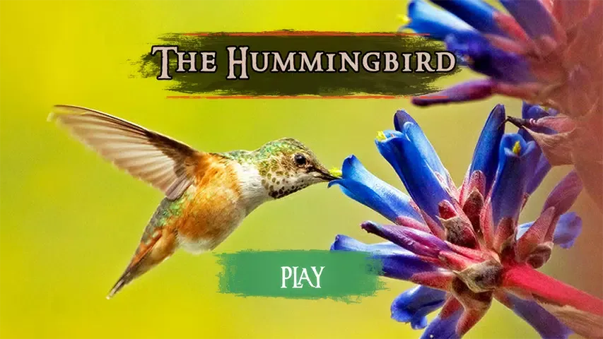 The Hummingbird应用截图