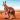 The Kangaroo