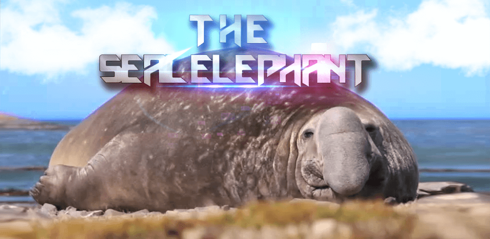 The Seal Elephant