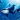 The Killer Whale