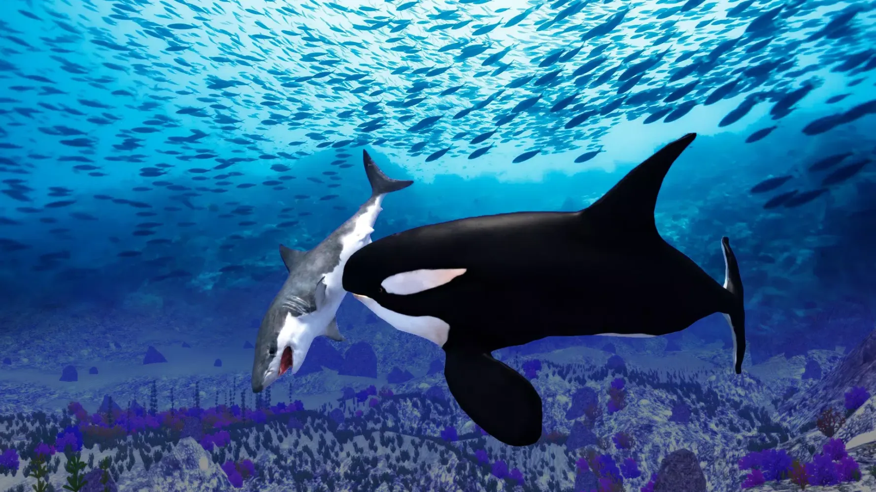 The Killer Whale スクリーンショット