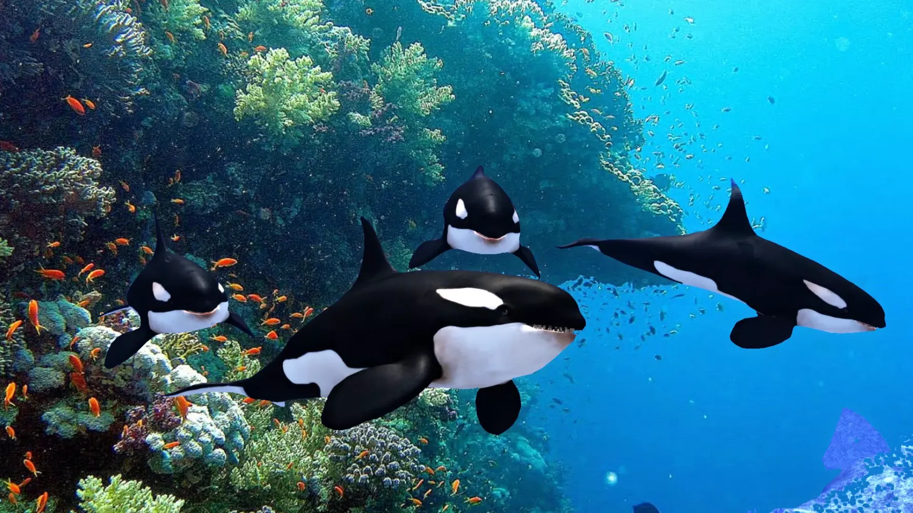 The Killer Whale スクリーンショット