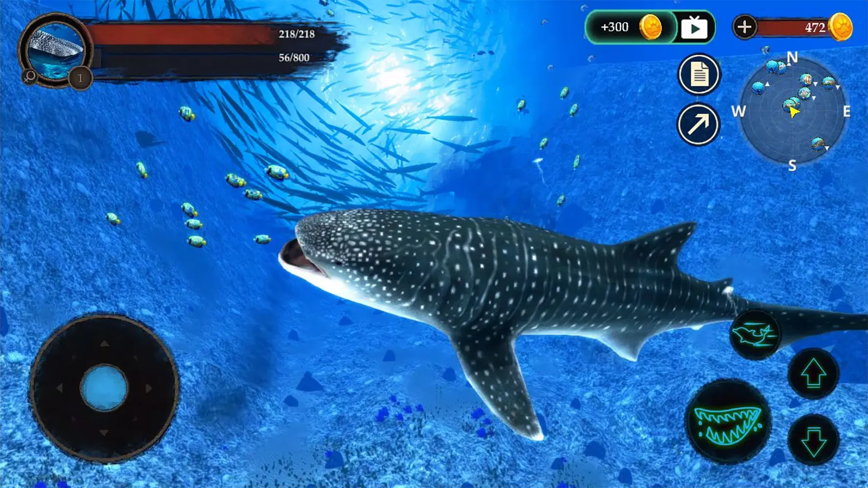 The Whale Shark স্ক্রিনশট