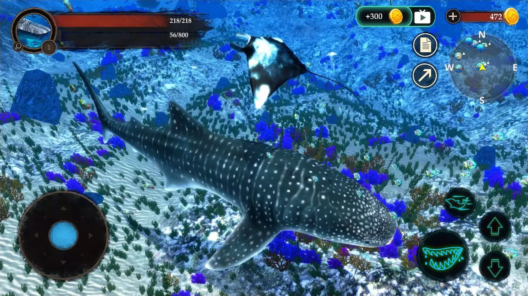 The Whale Shark স্ক্রিনশট