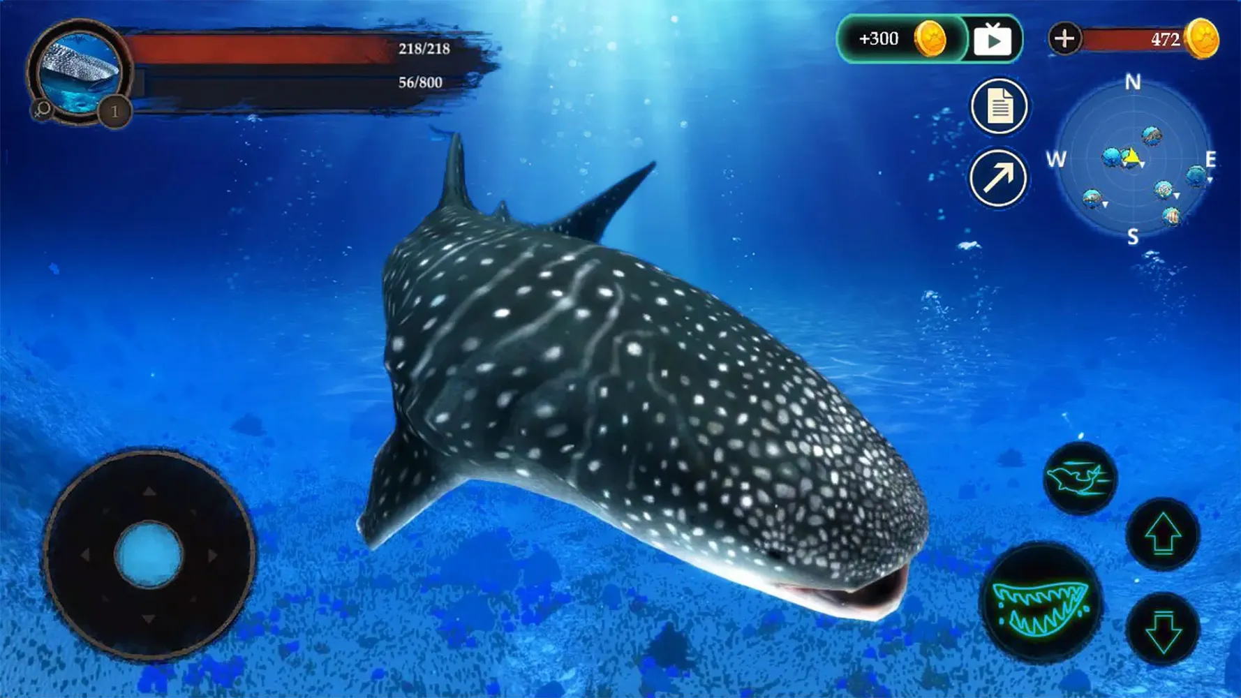 The Whale Shark স্ক্রিনশট