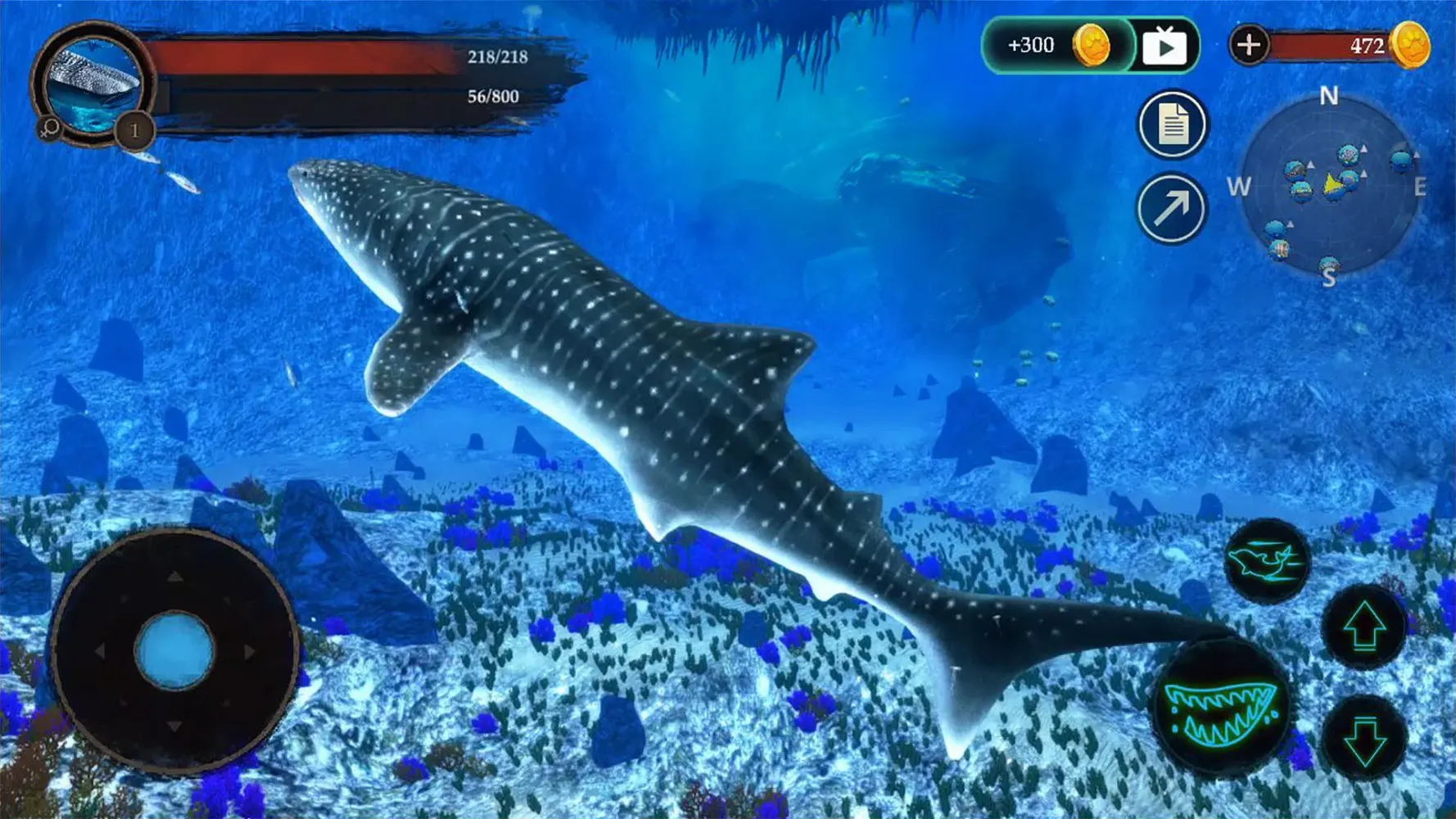 The Whale Shark স্ক্রিনশট