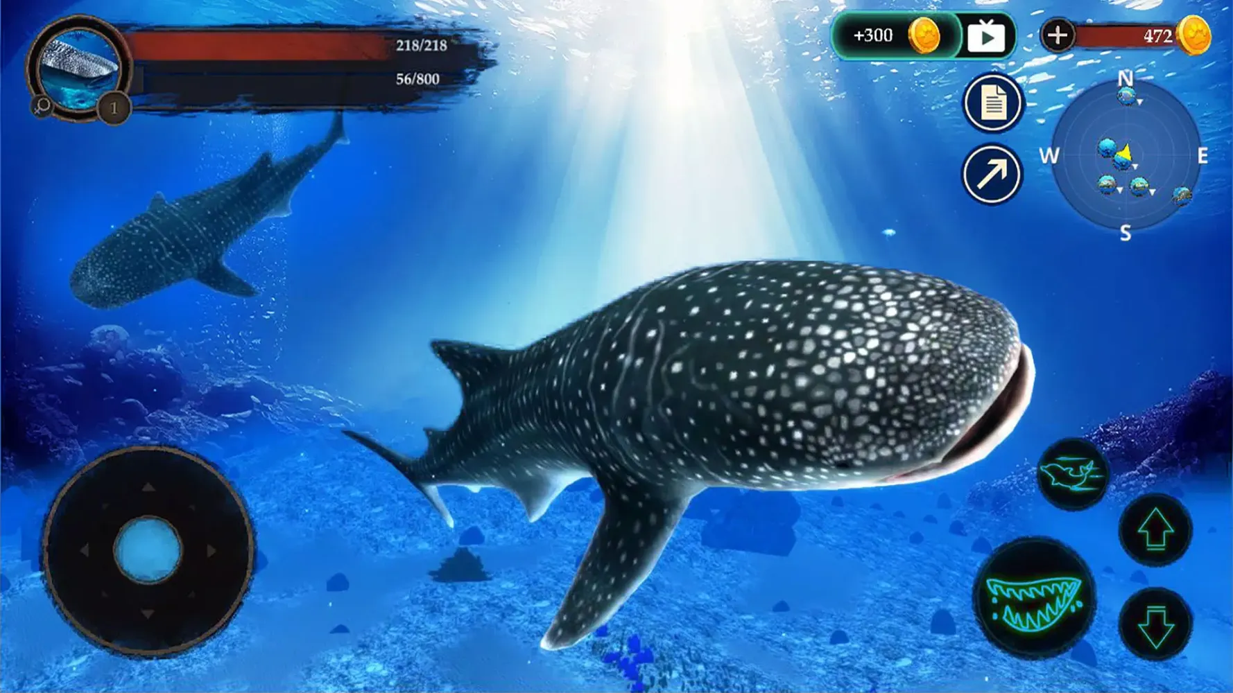 The Whale Shark স্ক্রিনশট