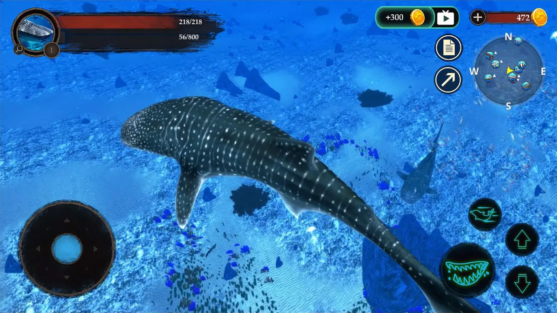 The Whale Shark স্ক্রিনশট