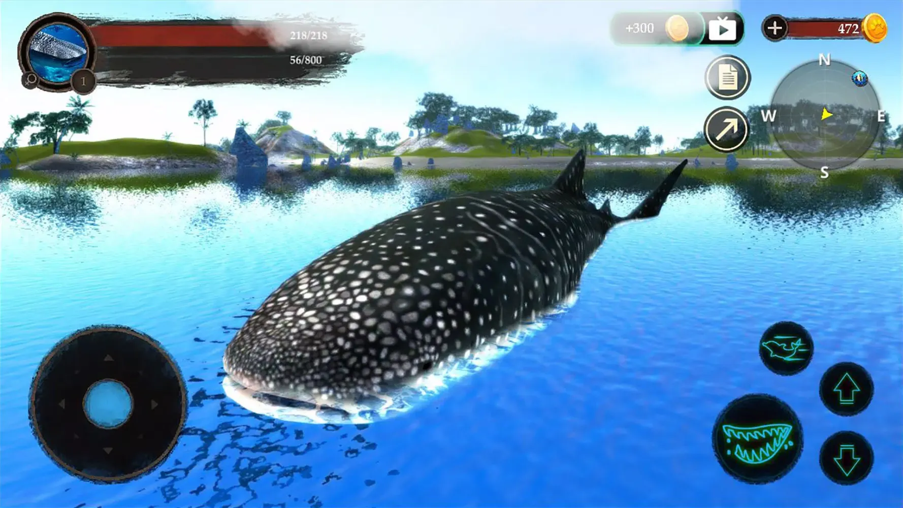 The Whale Shark স্ক্রিনশট