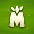 Zen Match