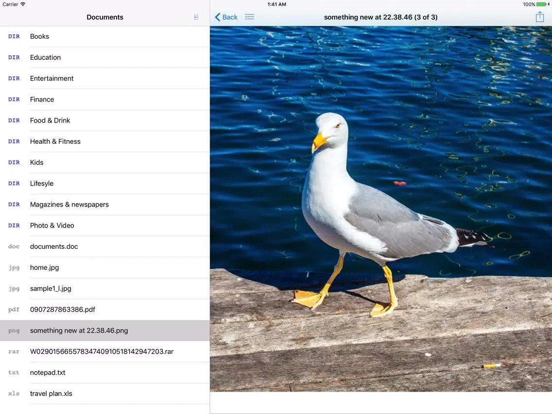 Private File Manager, Document and File Browser iPad Screenshots