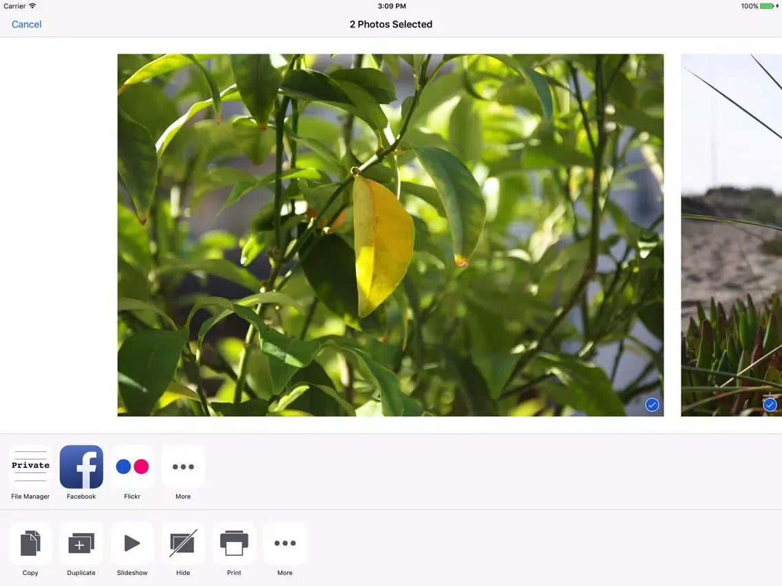 Private File Manager, Document and File Browser iPad Screenshots