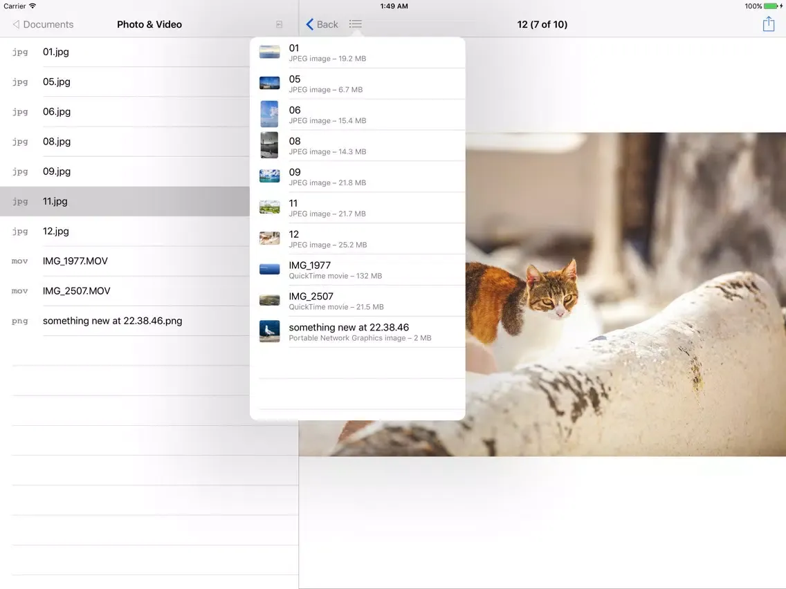 Private File Manager, Document and File Browser iPad Screenshots