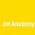 Journal of Anatomy