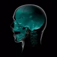 Oral Surgery Oral Surgery
