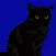 The Night Cat